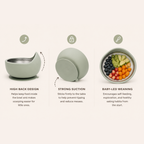 Little Eaters Suction Bowl